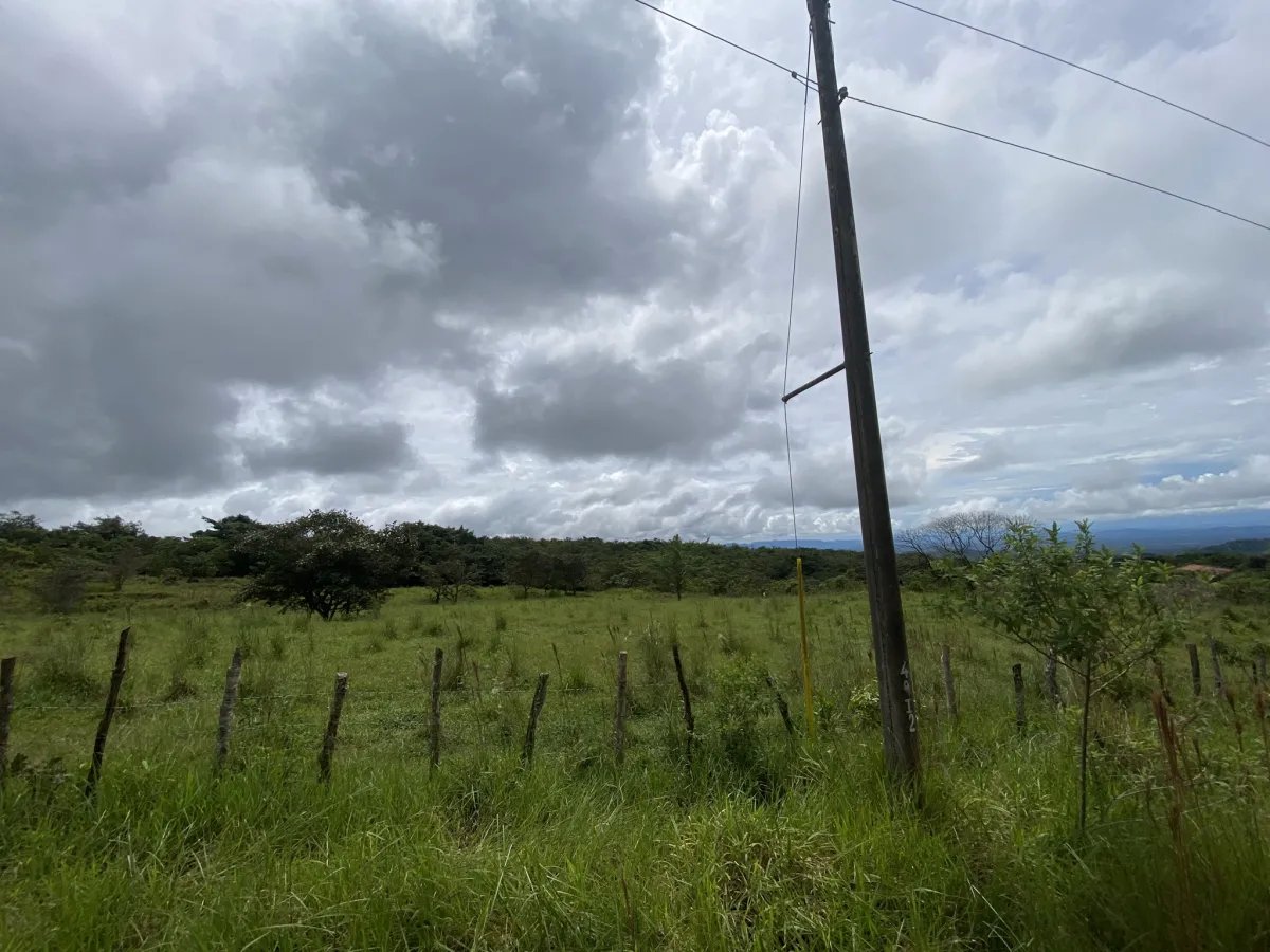 Unimproved Land For Sale in Jaramillo