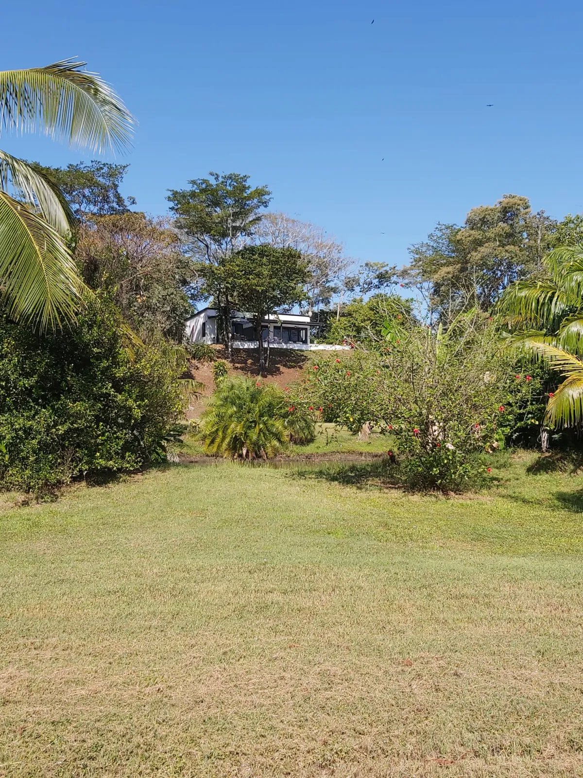 Vacation Home For Sale in Lago Bay, Lagartero, Hicaco, Sona, Veraguas