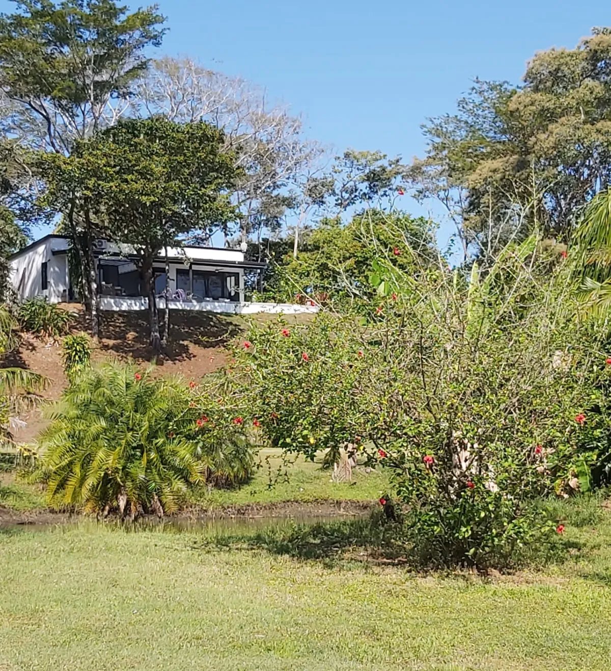 Vacation Home For Sale in Lago Bay, Lagartero, Hicaco, Sona, Veraguas