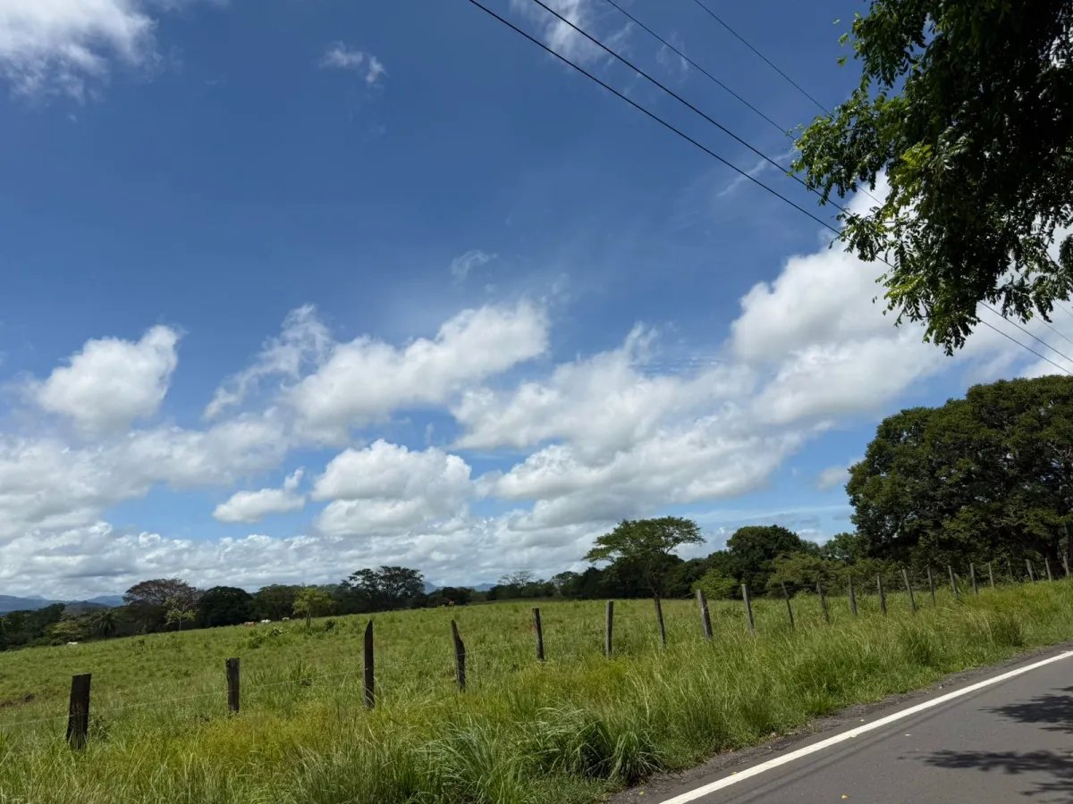 Venta de finca en San Juan de San Lorenzo