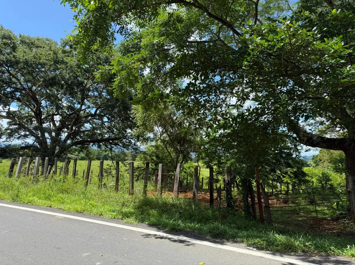 Venta de finca en San Juan de San Lorenzo