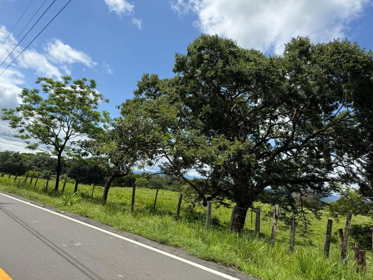 Venta de finca en San Juan de San Lorenzo