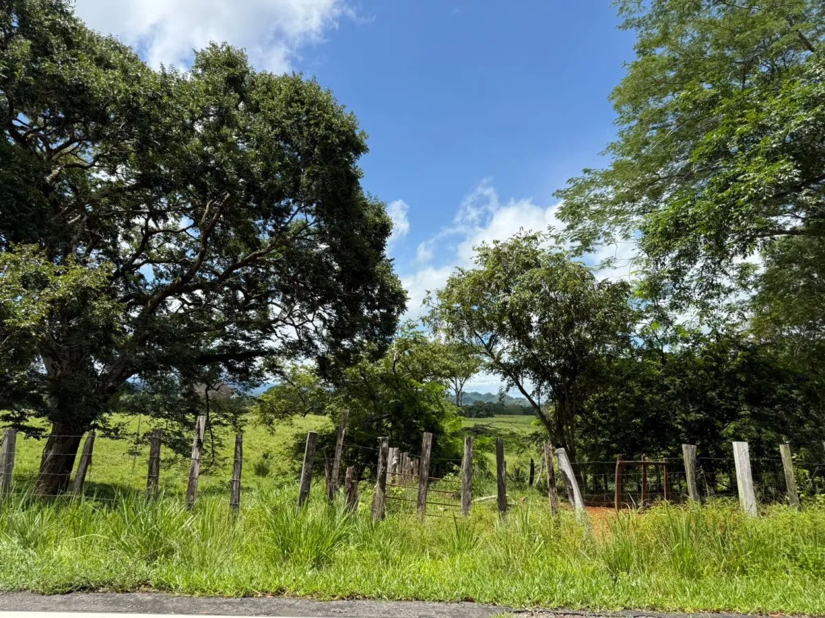 Venta de finca en San Juan de San Lorenzo