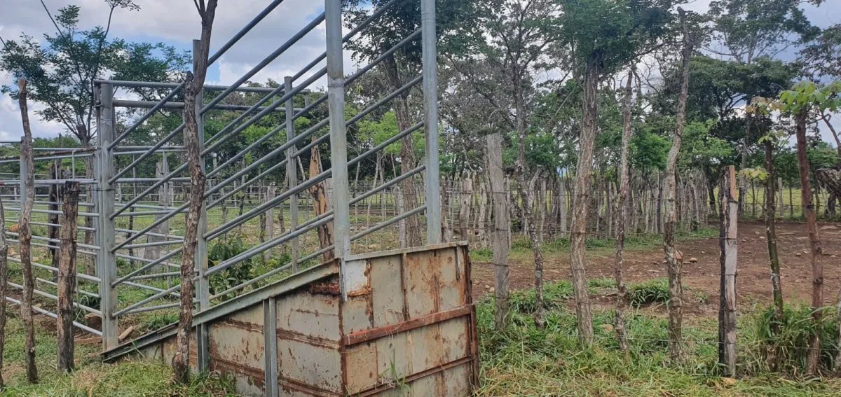 Venta de finca ganadera en Rovira Dolega