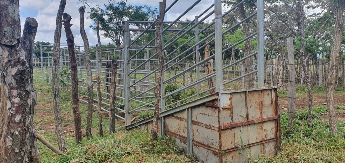 Venta de finca ganadera en Rovira Dolega