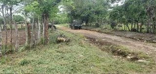 Venta de finca ganadera en Rovira Dolega