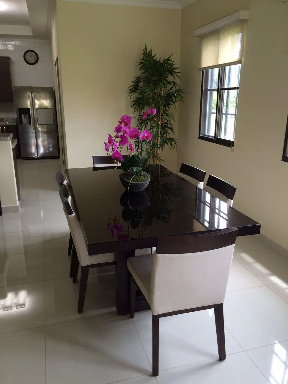 VENDO CASA TOTALMENTE AMOBLADA Y EQUIPADA  HACIENDA PACÍFICA, SAN CARLOS