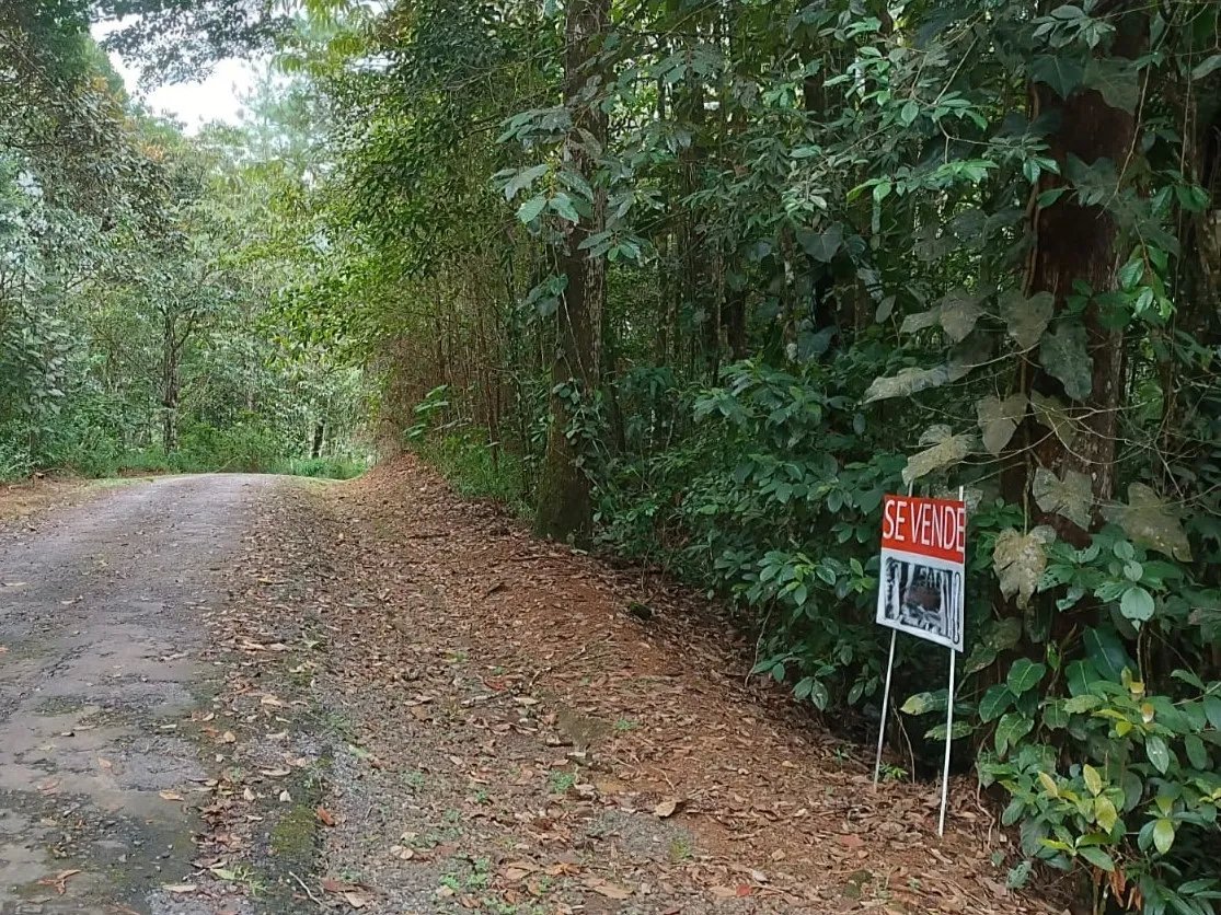 Terreno a la Venta en Cerro Azul/Land for Sale in Cerro Azul