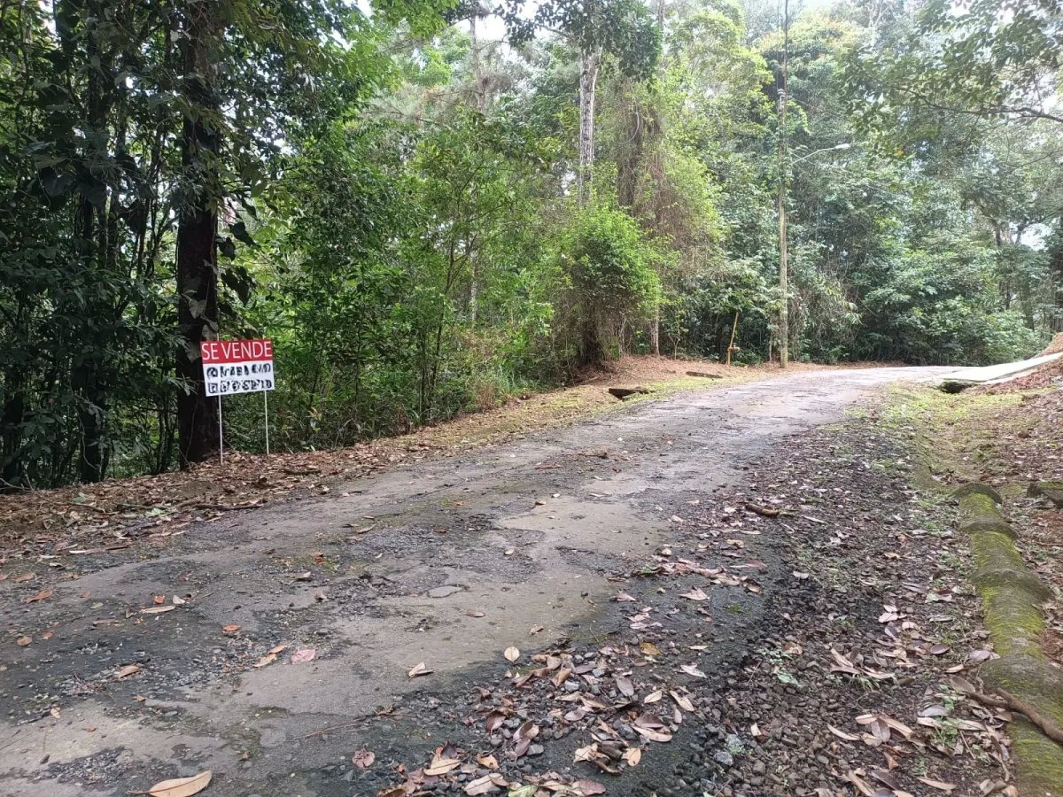 Terreno a la Venta en Cerro Azul/Land for Sale in Cerro Azul