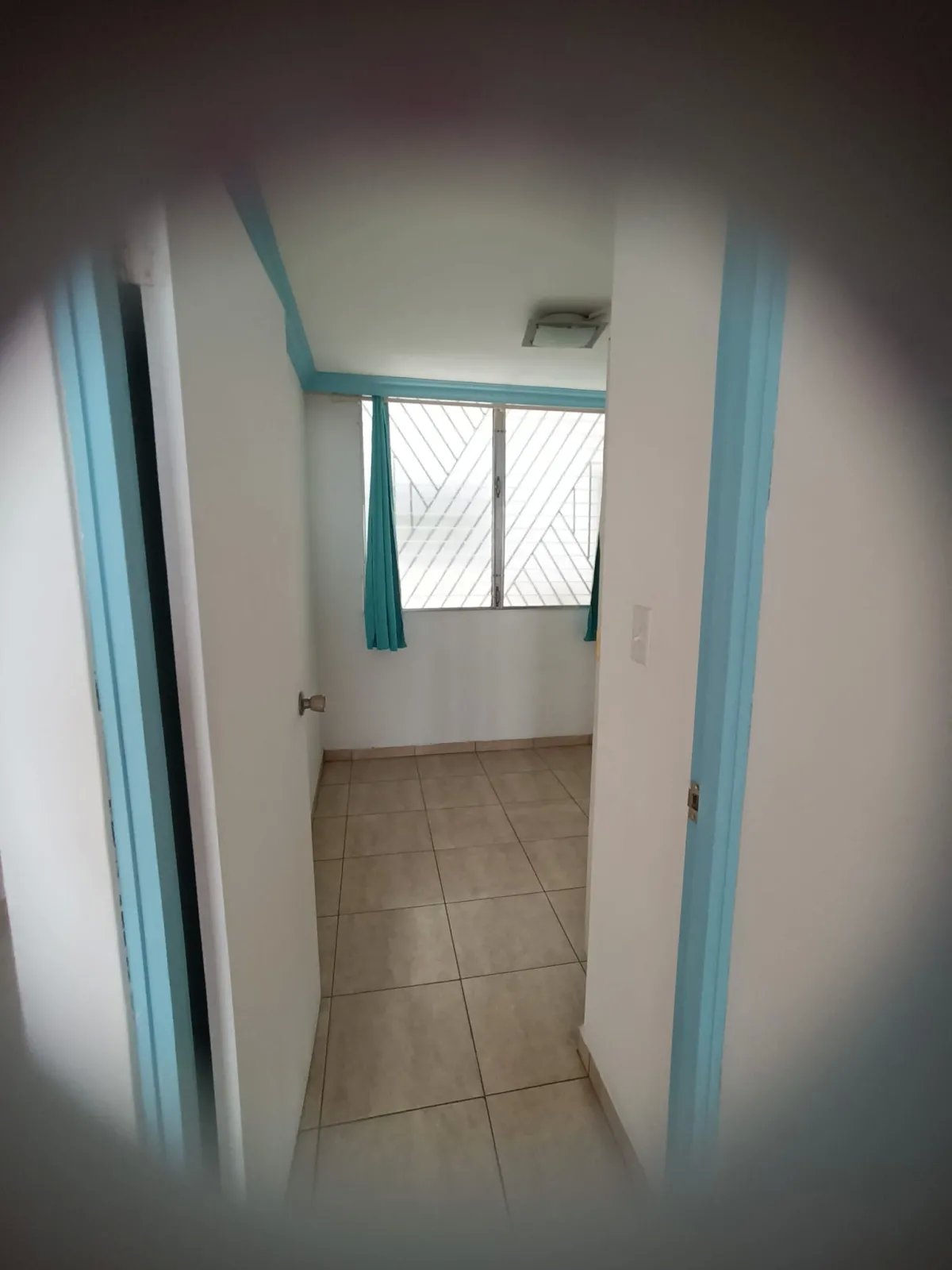 Apartment For Rent in Calle 81 Este