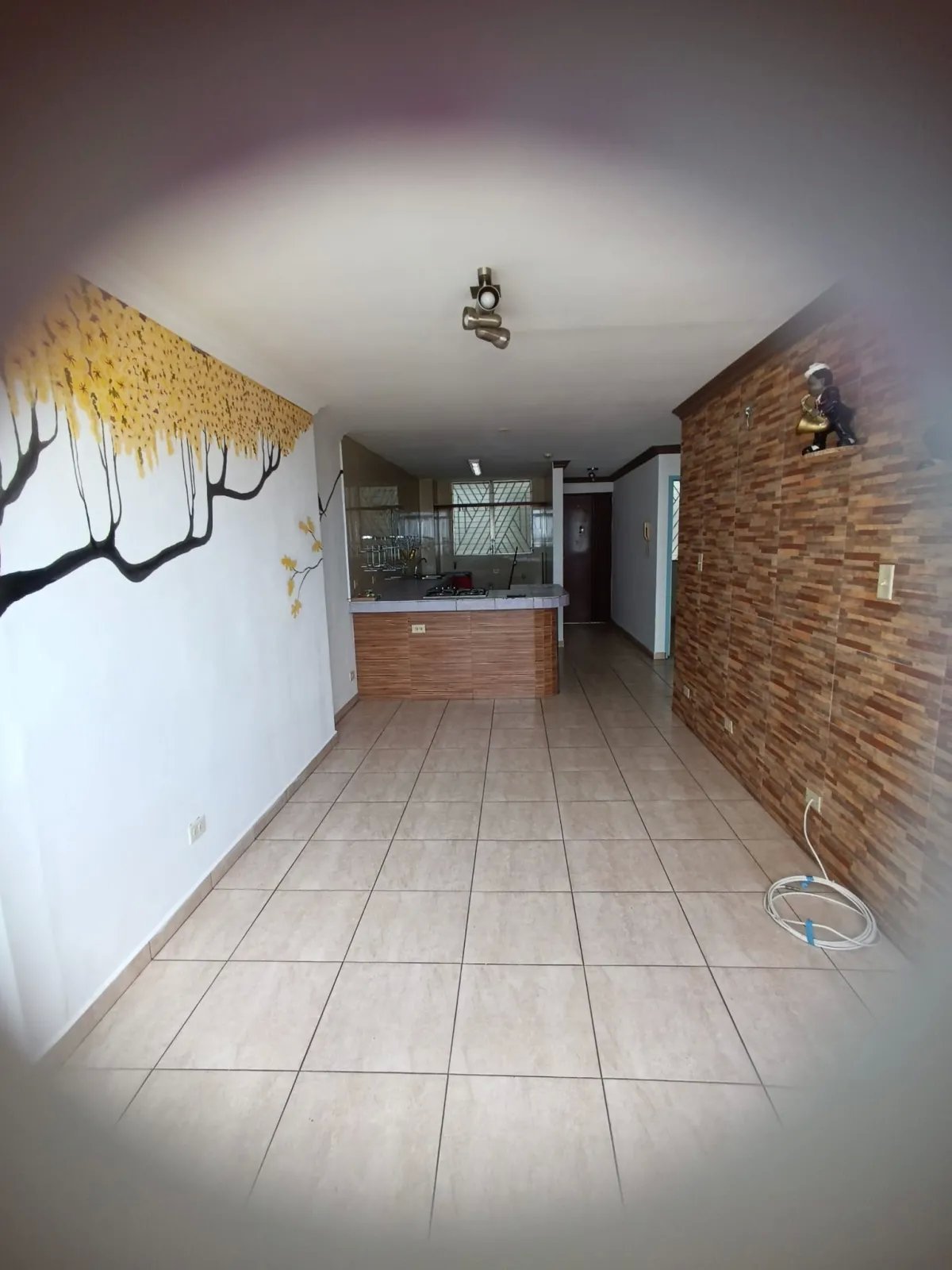 Apartment For Rent in Calle 81 Este