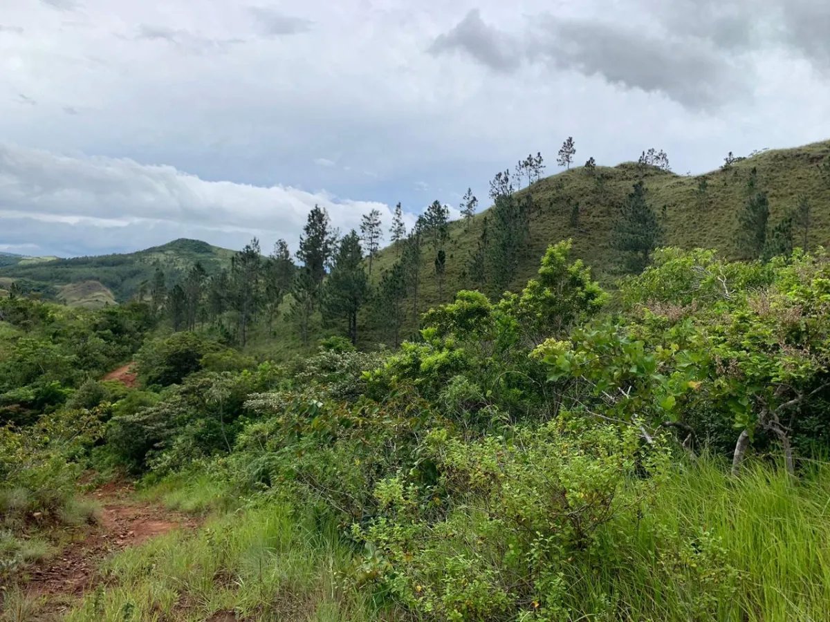 En Venta: Hermoso Terreno en Santa Fe.