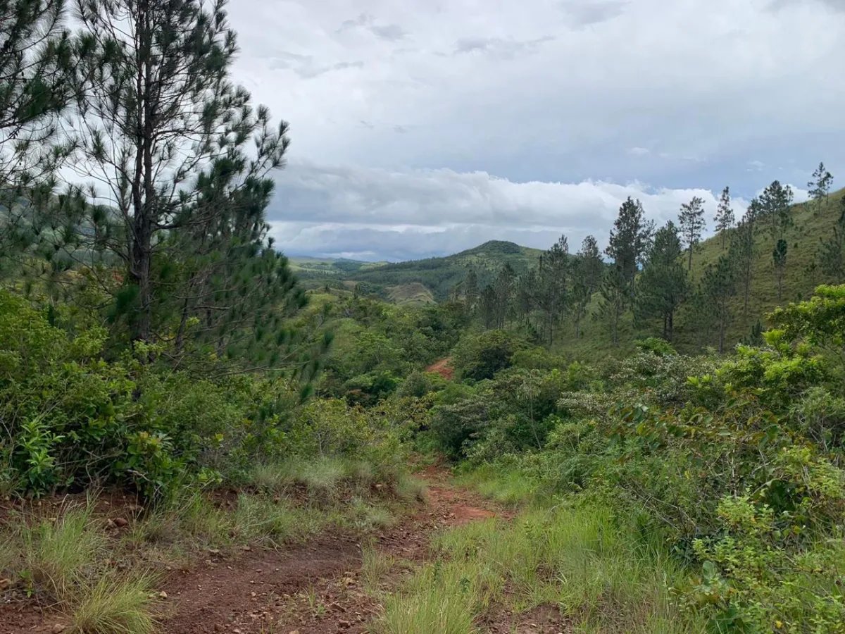 En Venta: Hermoso Terreno en Santa Fe.