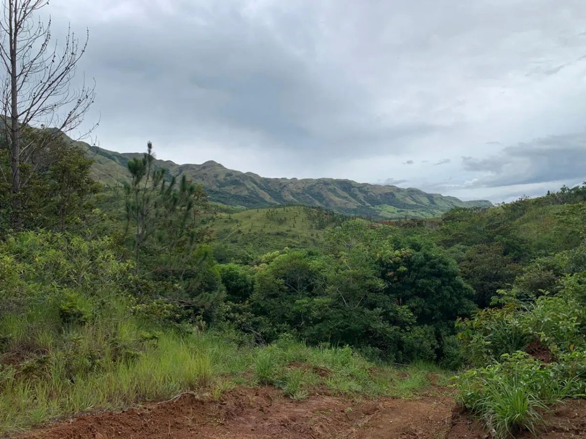 En Venta: Hermoso Terreno en Santa Fe.