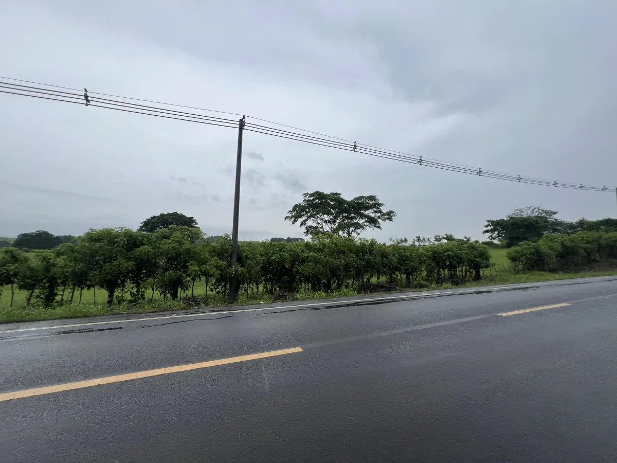Farm For Sale in Río Salado
