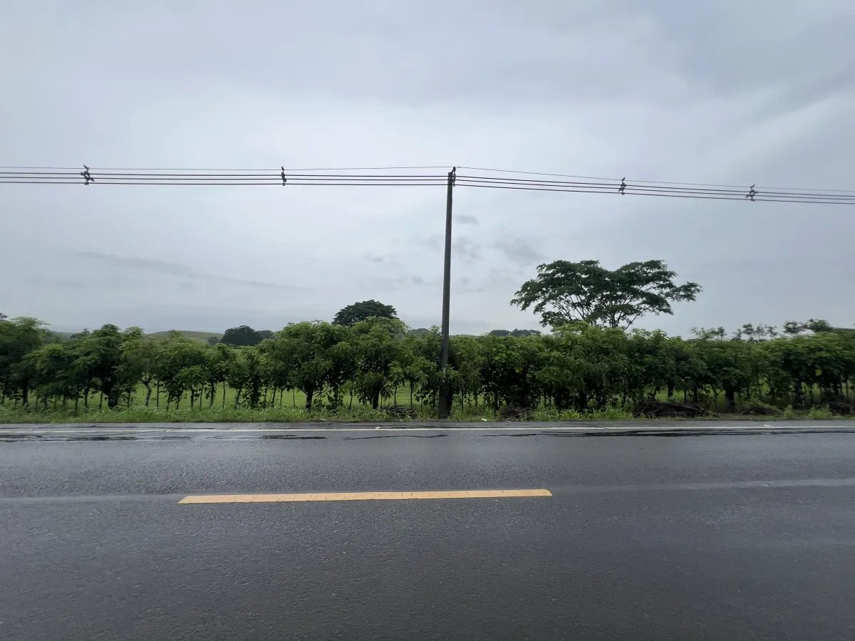 Farm For Sale in Río Salado