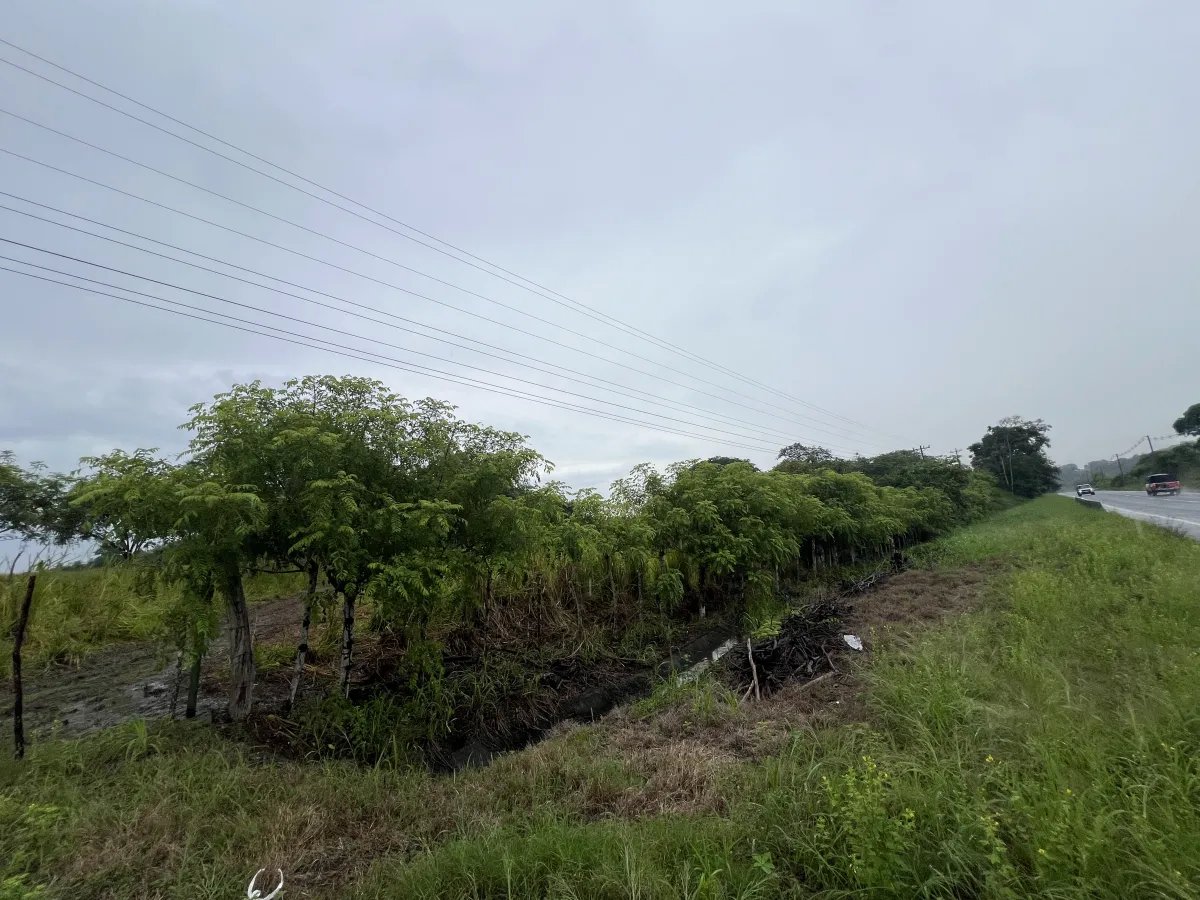 Farm For Sale in Río Salado