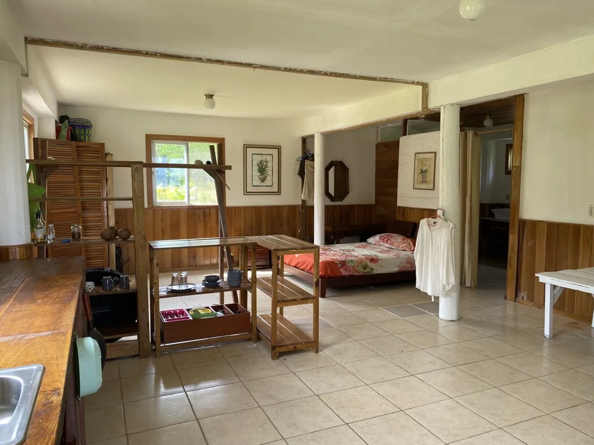 3 Hectares of Caribbean Oceanfront in Miramar