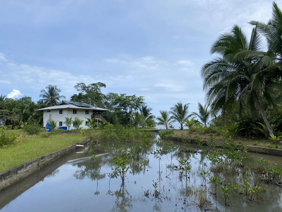 3 Hectares of Caribbean Oceanfront in Miramar