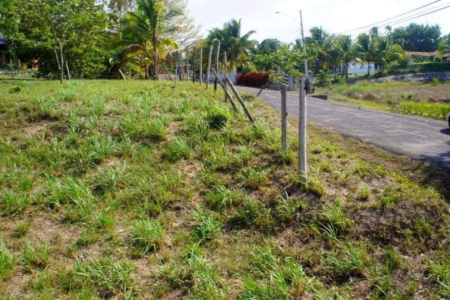 Lote de Casa en Venta en Las Uvas de San Carlos