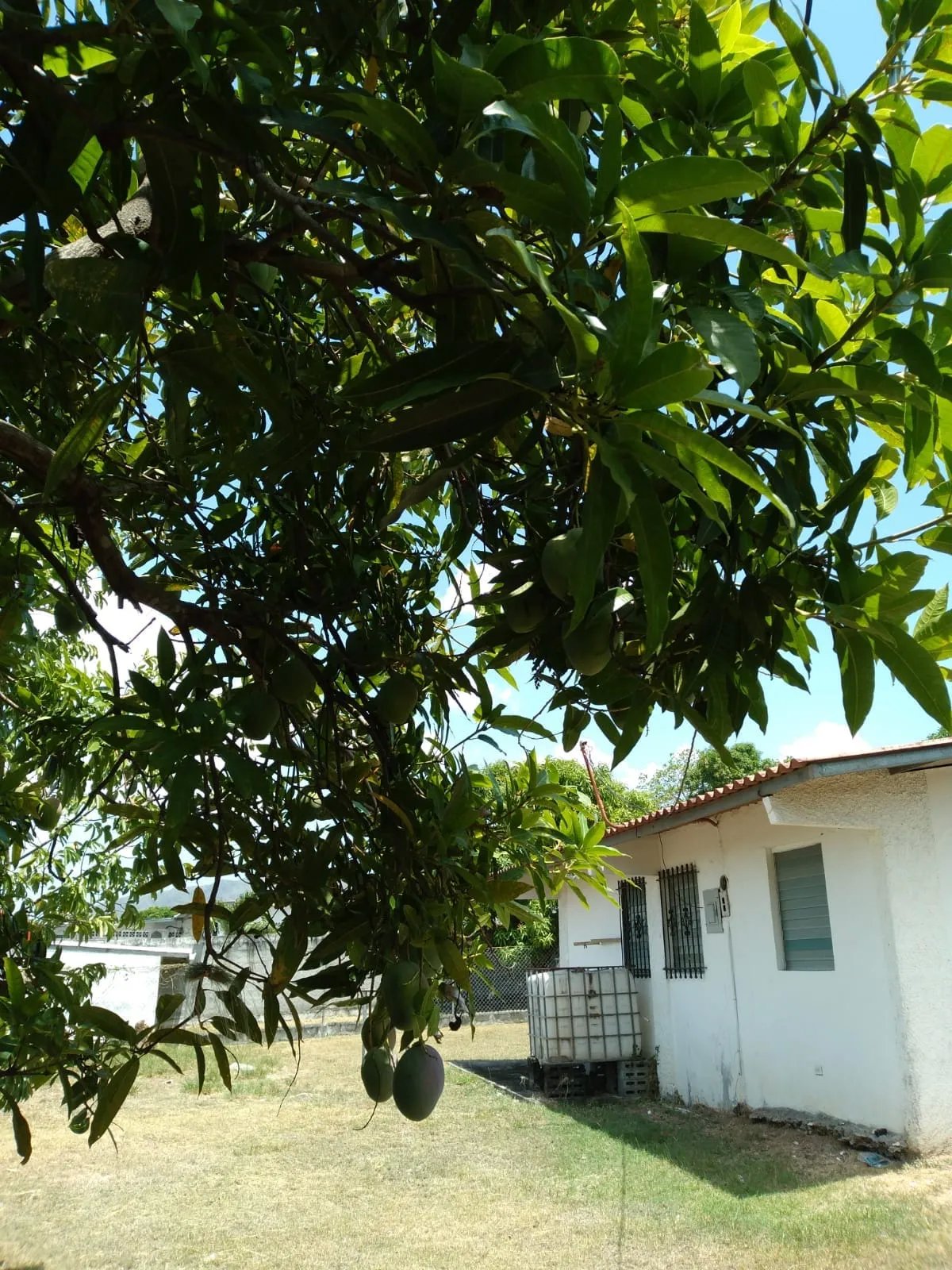 Bohemia e Idílica Casa de Campo en Venta  $110,000 (Negociable)/Bohem...