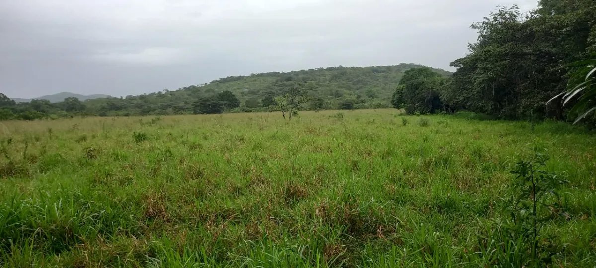 FOR SALE: HACIENDA DON ANDRÉS.