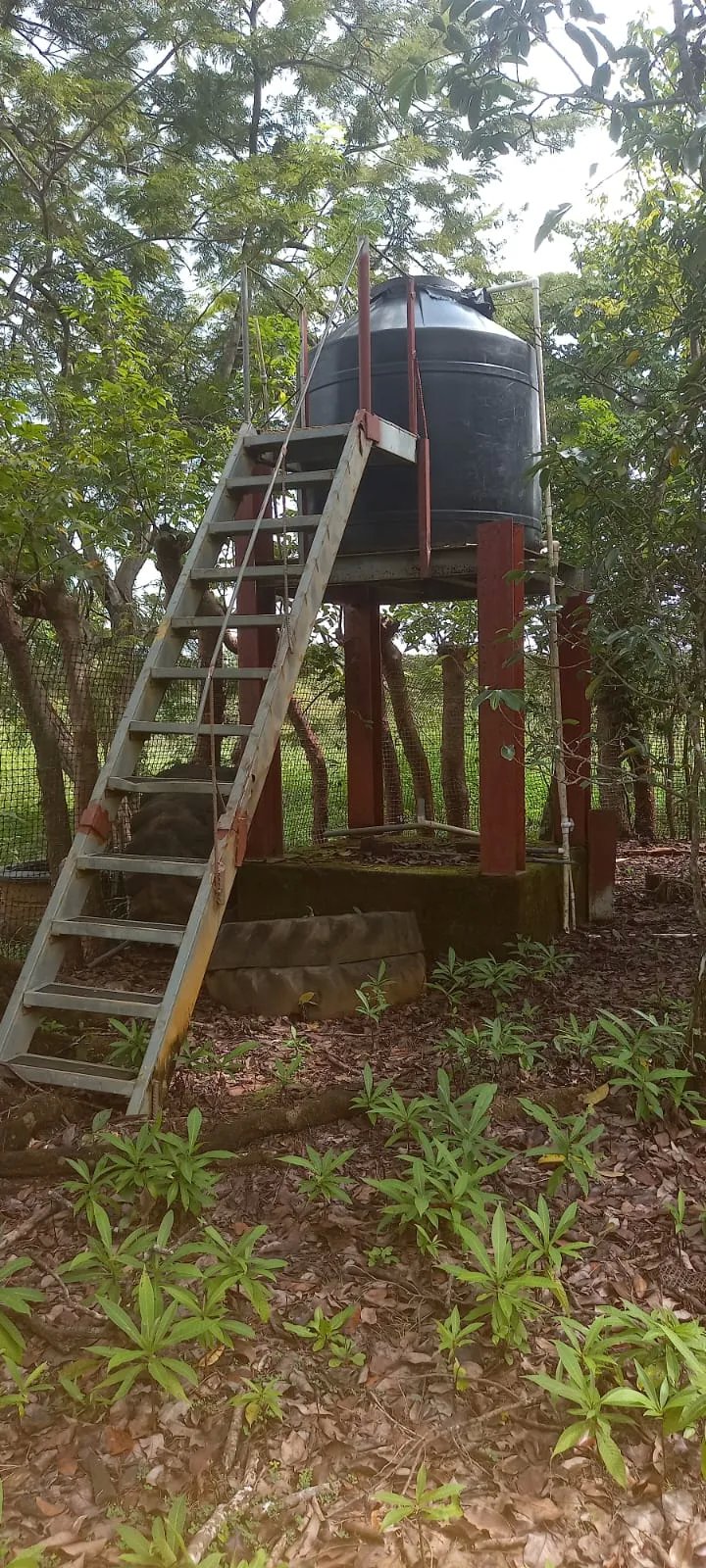 FOR SALE: HACIENDA DON ANDRÉS.