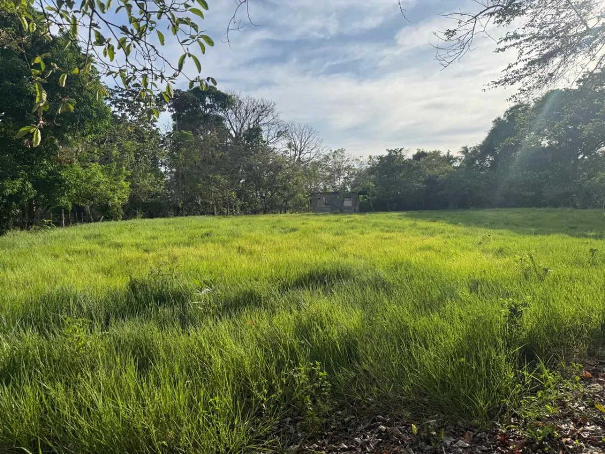 For Sale: Titled Land in Hicaco, 300 Meter from The Beach.