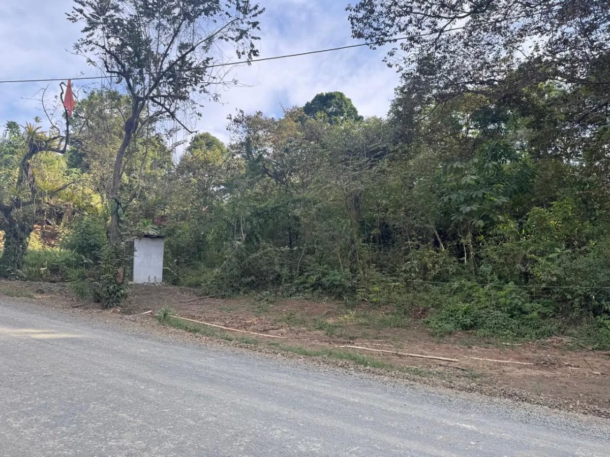 For Sale: Titled Land in Hicaco, 300 Meter from The Beach.