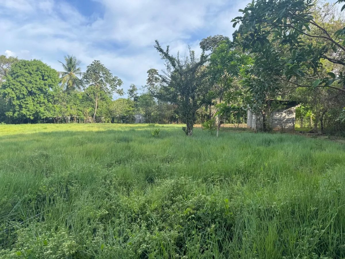 For Sale: Titled Land in Hicaco, 300 Meter from The Beach.