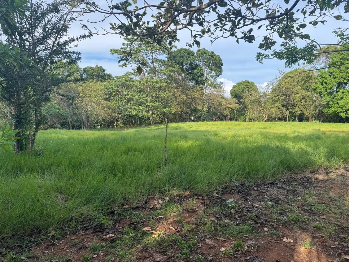 For Sale: Titled Land in Hicaco, 300 Meter from The Beach.