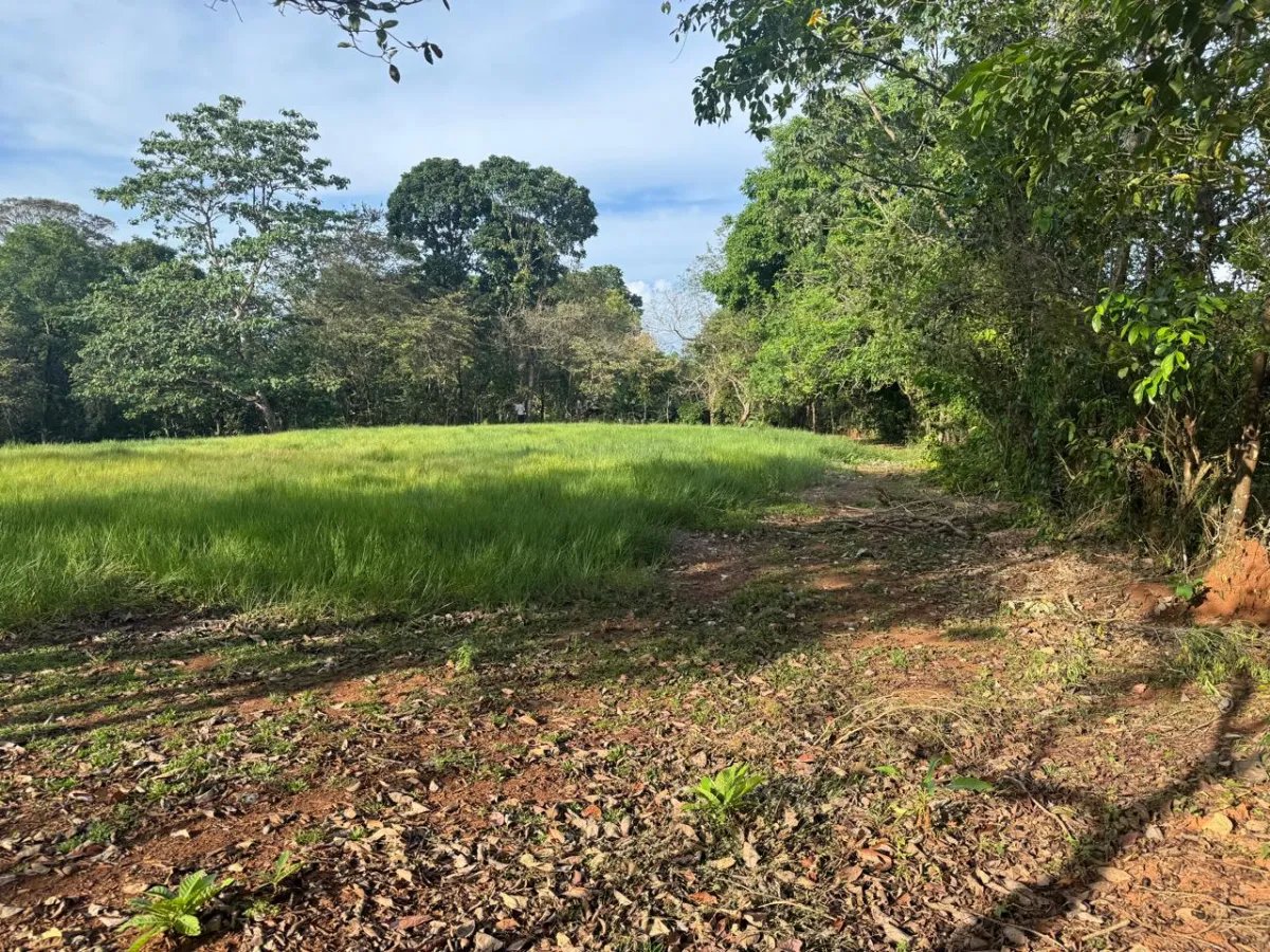 For Sale: Titled Land in Hicaco, 300 Meter from The Beach.