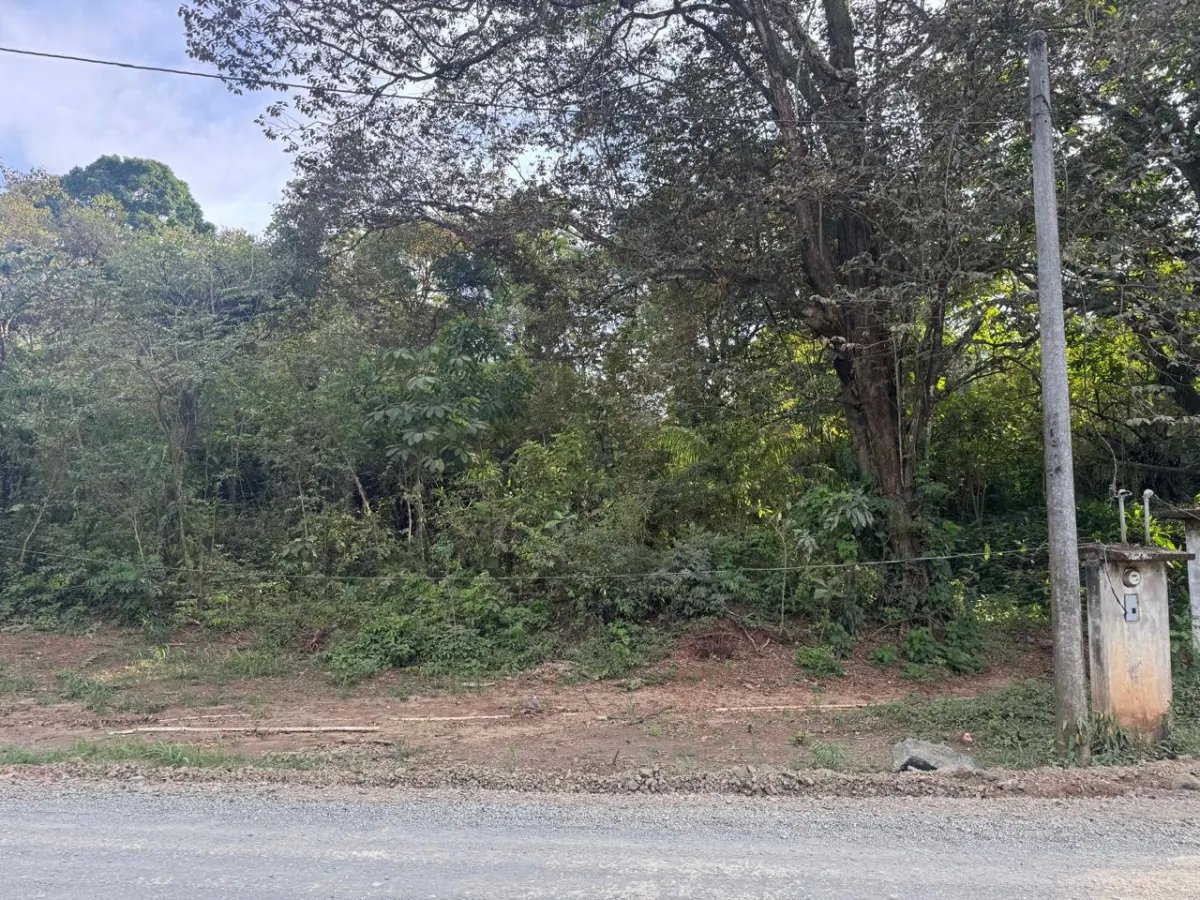 For Sale: Titled Land in Hicaco, 300 Meter from The Beach.