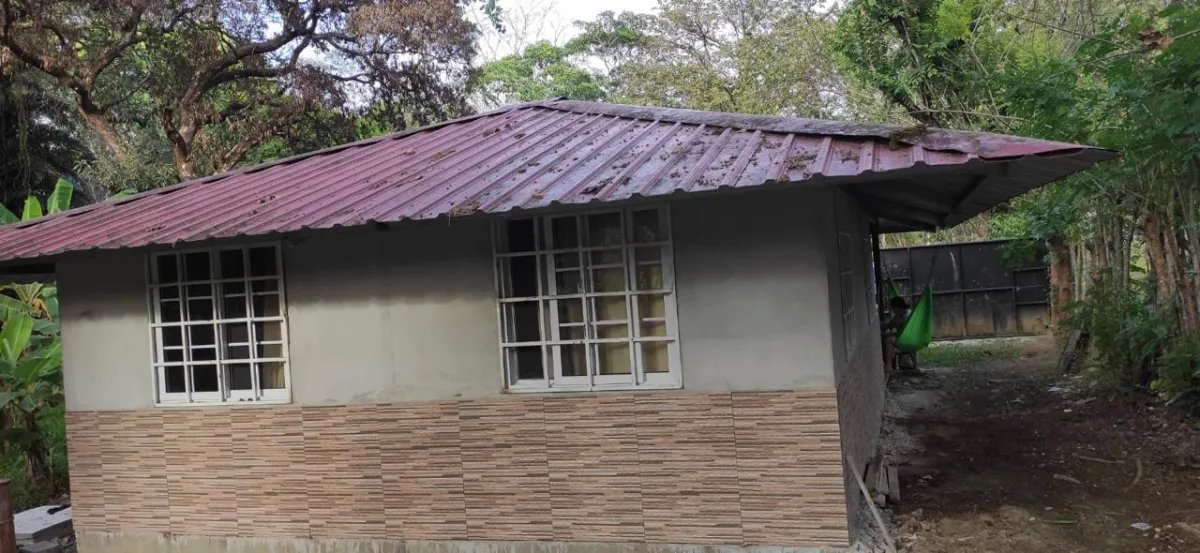 For Sale: Titled 4.5 Hectare Property with Home and Crops.