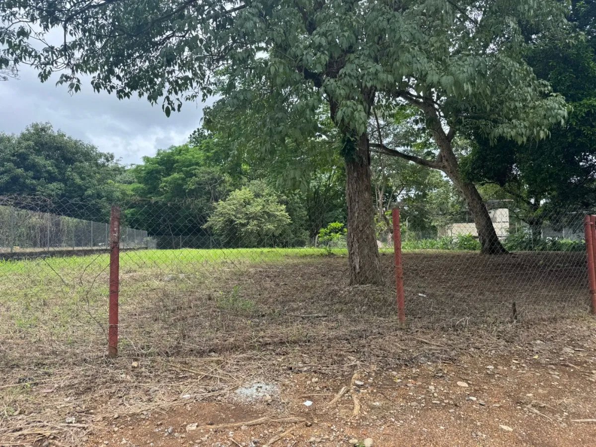 Alquiler de terreno en David
