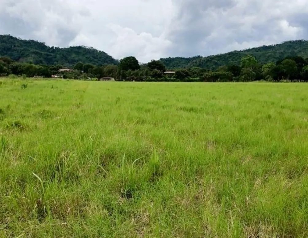 Venta de terreno en David