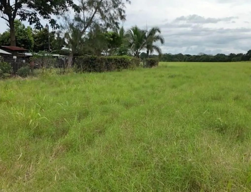 Venta de terreno en David