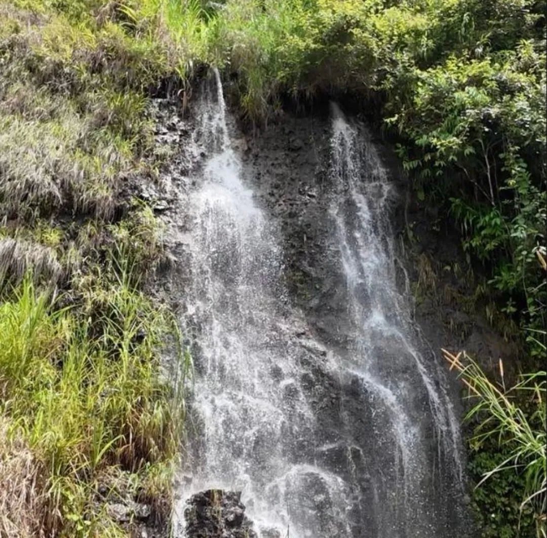 Venta de finca de agroturismo en Renacimiento