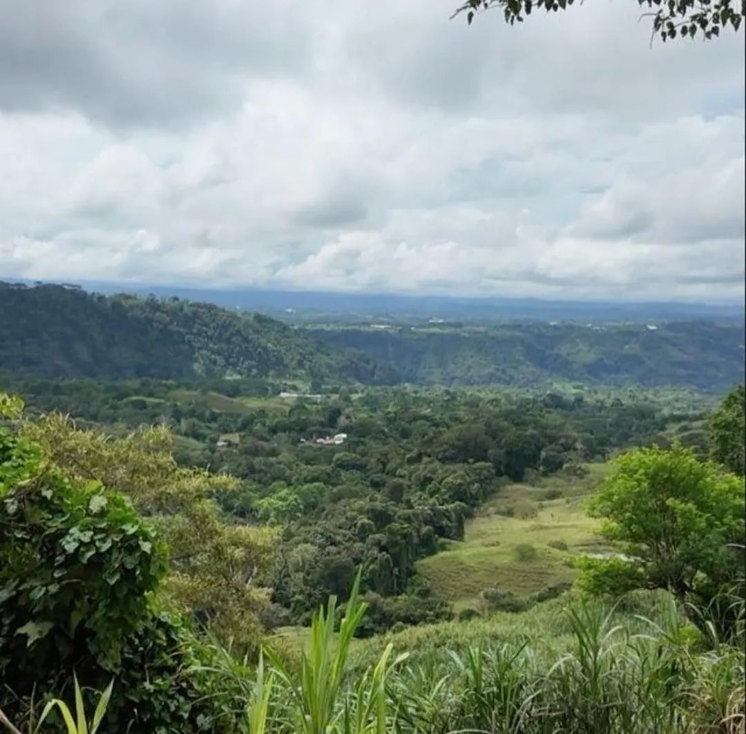 Venta de finca de agroturismo en Renacimiento