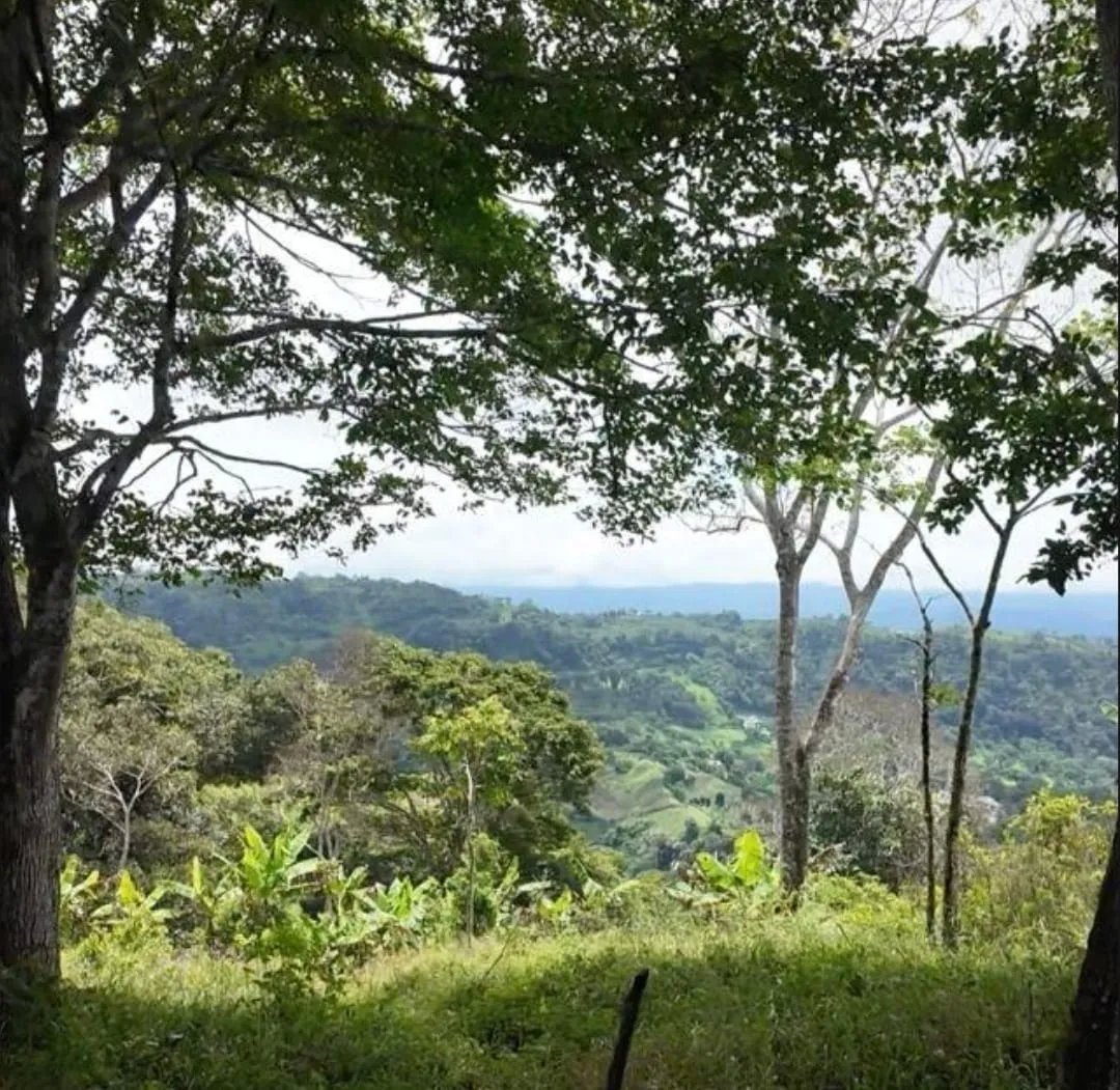 Venta de finca de agroturismo en Renacimiento