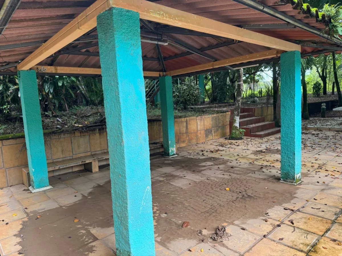 For Sale: Productive Farm in Los Hatillos, San Francisco.