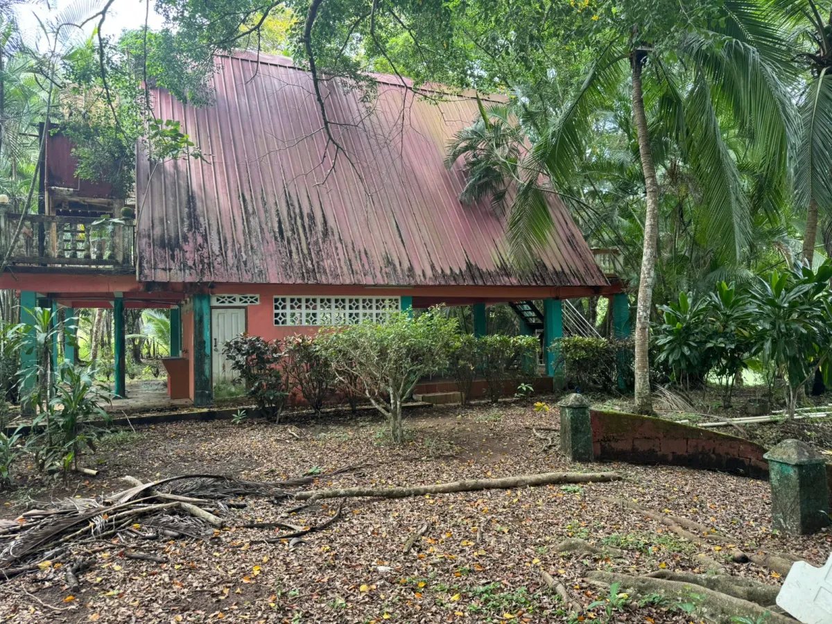 For Sale: Productive Farm in Los Hatillos, San Francisco.