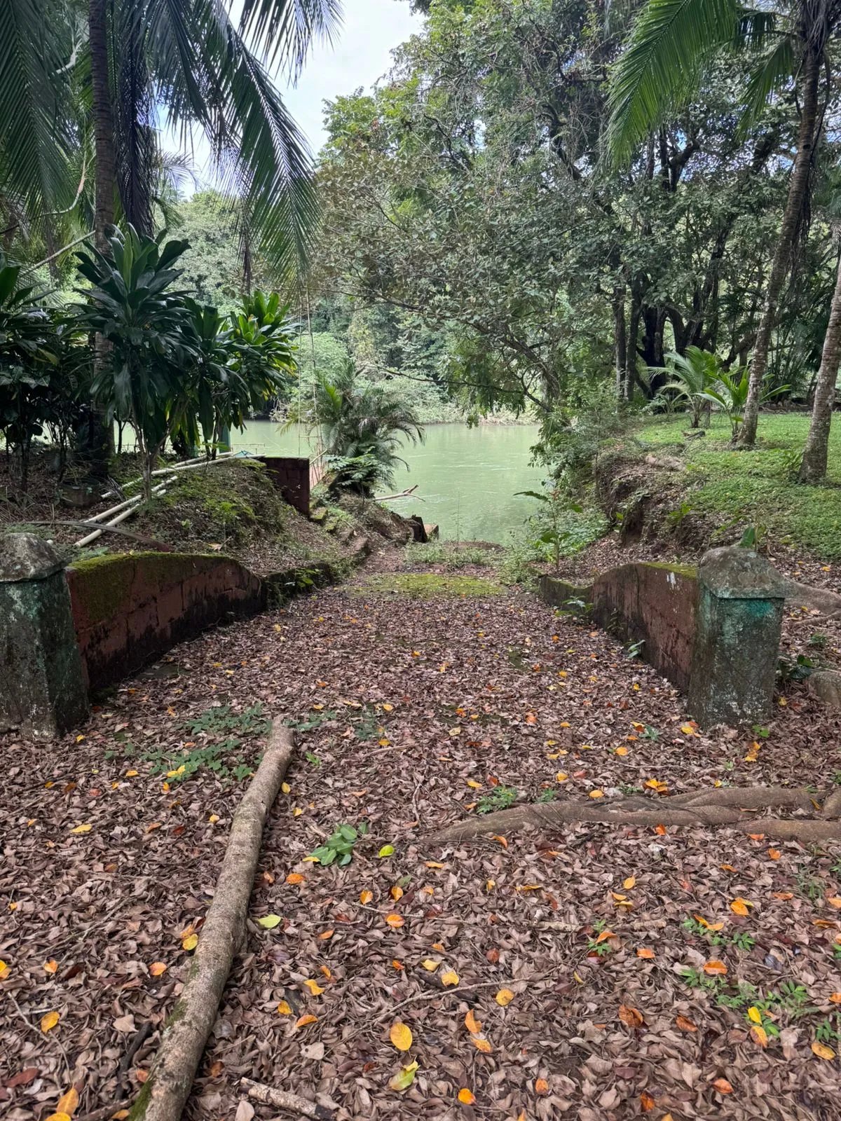 For Sale: Productive Farm in Los Hatillos, San Francisco.