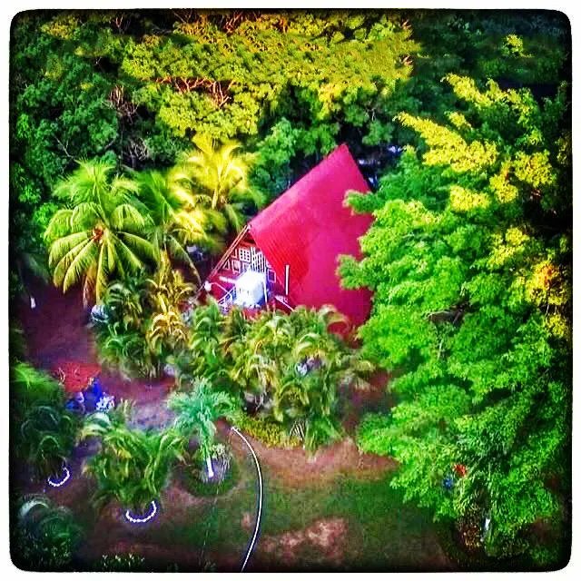 For Sale: Productive Farm in Los Hatillos, San Francisco.