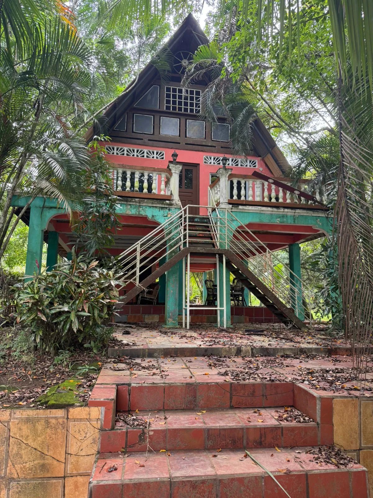 For Sale: Productive Farm in Los Hatillos, San Francisco.