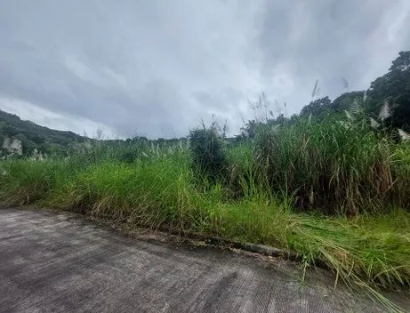 Business For Sale in Pedregal