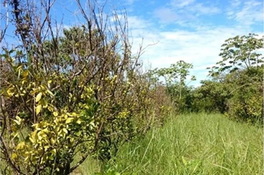 Venta de terreno en San Francisco de Veraguas camino a Calobre