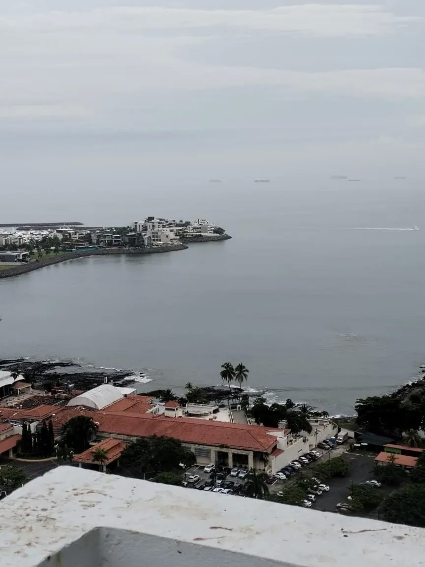 Apartment For Sale in Punta Paitilla