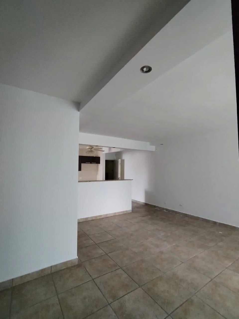 Apartment For Sale in Punta Paitilla