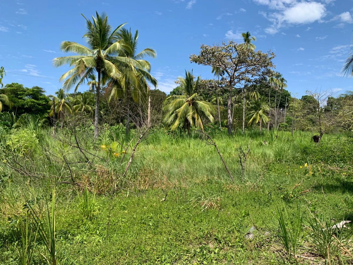 En Venta: Propiedad en Playa Hicaco Frente a la Playa.